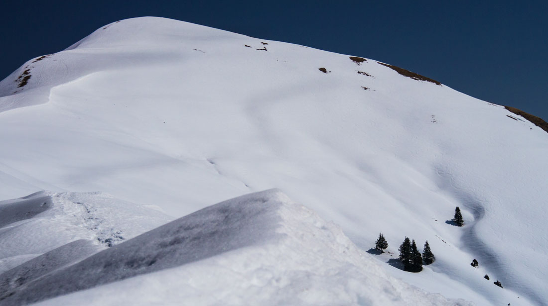 schönalm20.jpg - Weil es bis kurz vorm Schluss absolut nichts zu sehen gab, lassen wir das alles aus und präsentieren gleich das letzte Stück zum Gipfel.