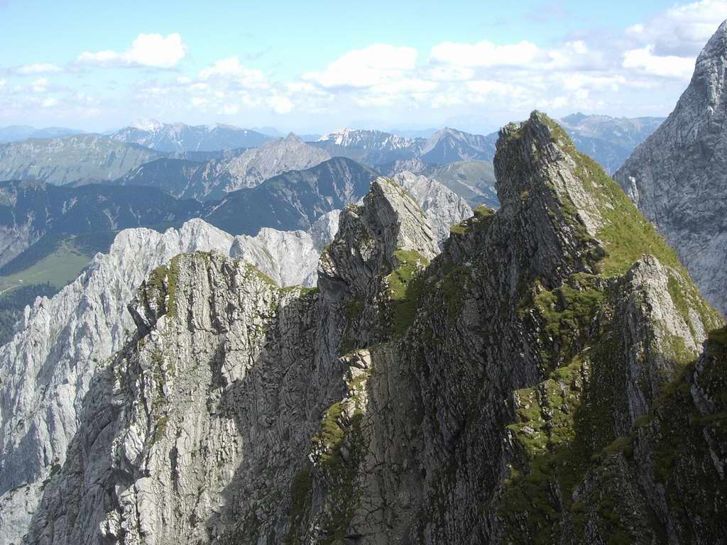 Nächstes Bild